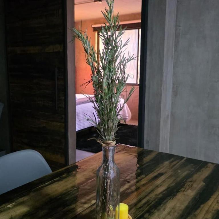Casa Macario a 20 min caminando al centro, auditorio Guelaguetza y mirador de Oaxaca - Haus mit 2 Schlafzimmern - 15