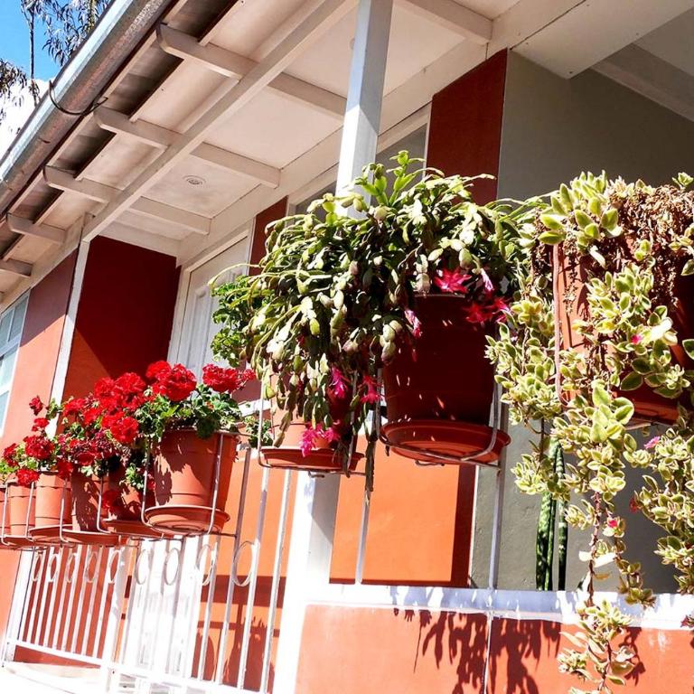 Kuelap Guest House - Triple Room with Mountain View - 5