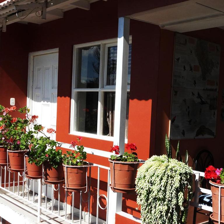Kuelap Guest House - Twin Room with Mountain View - 3
