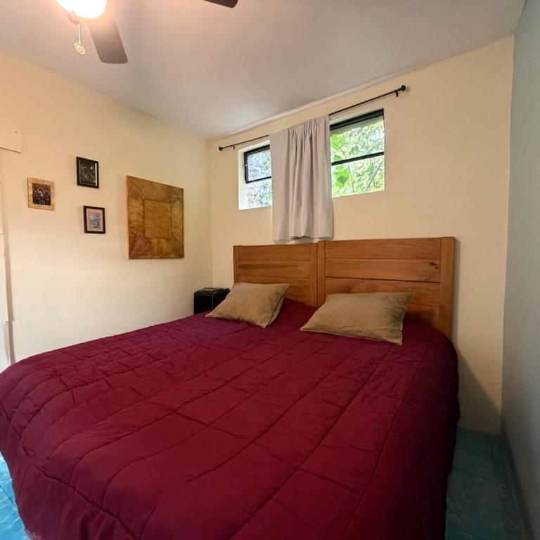 Suite Roof Top - One-Bedroom Apartment - 1