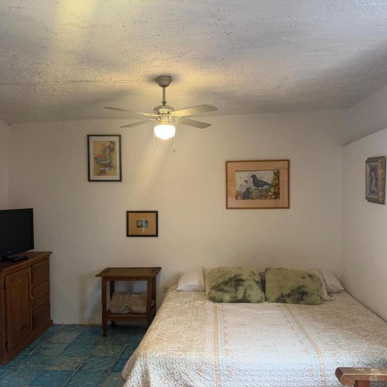 Suite Roof Top - One-Bedroom Apartment - 1