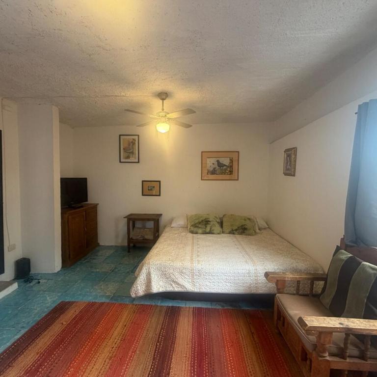 Suite Roof Top - One-Bedroom Apartment - 8