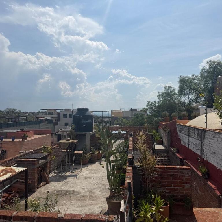 Suite Roof Top - One-Bedroom Apartment - 14
