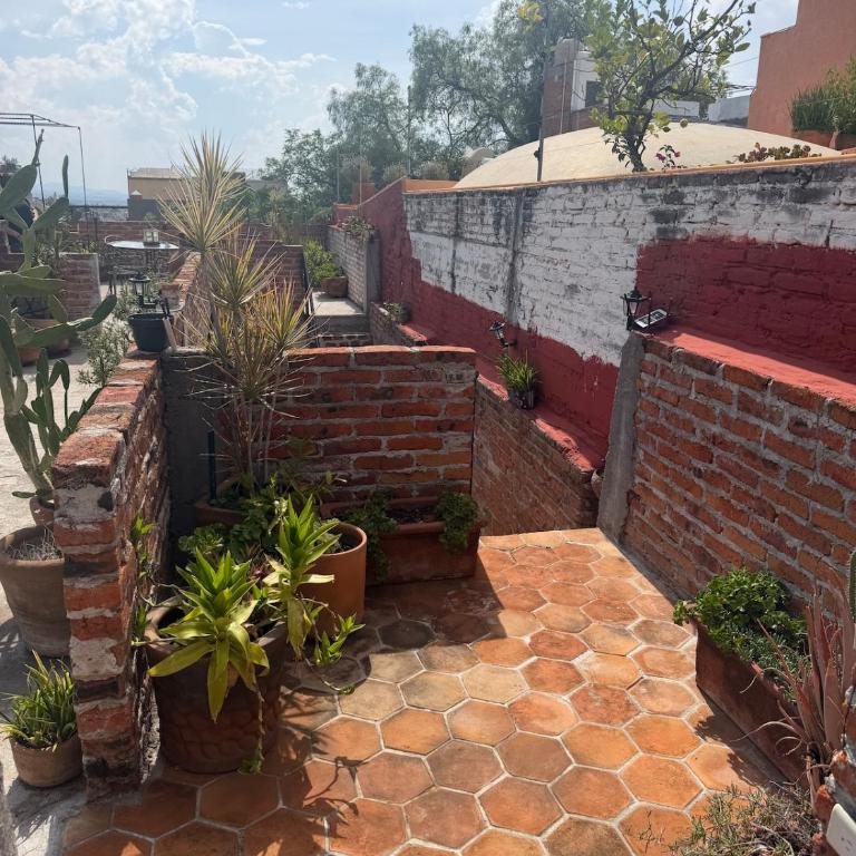 Suite Roof Top - One-Bedroom Apartment - 12