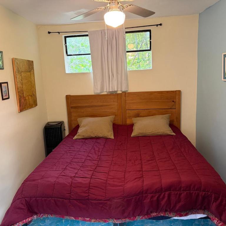 Suite Roof Top - One-Bedroom Apartment - 13