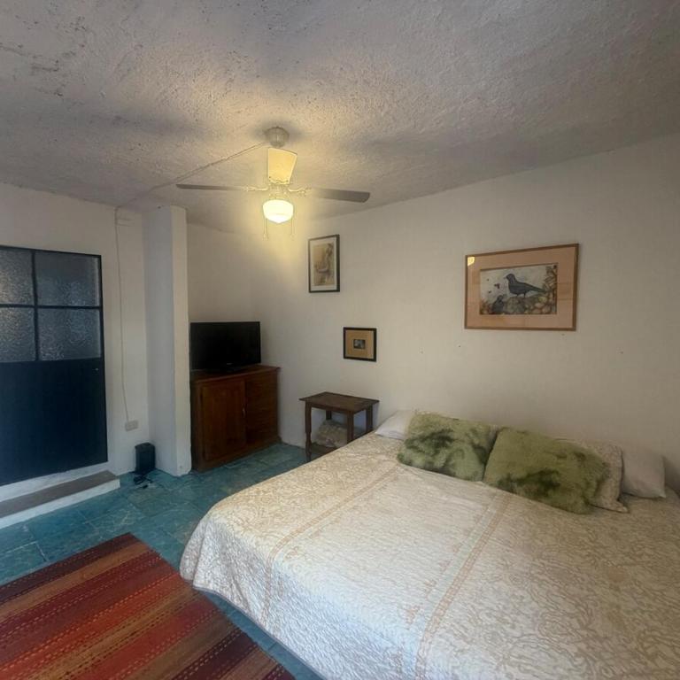 Suite Roof Top - One-Bedroom Apartment - 23