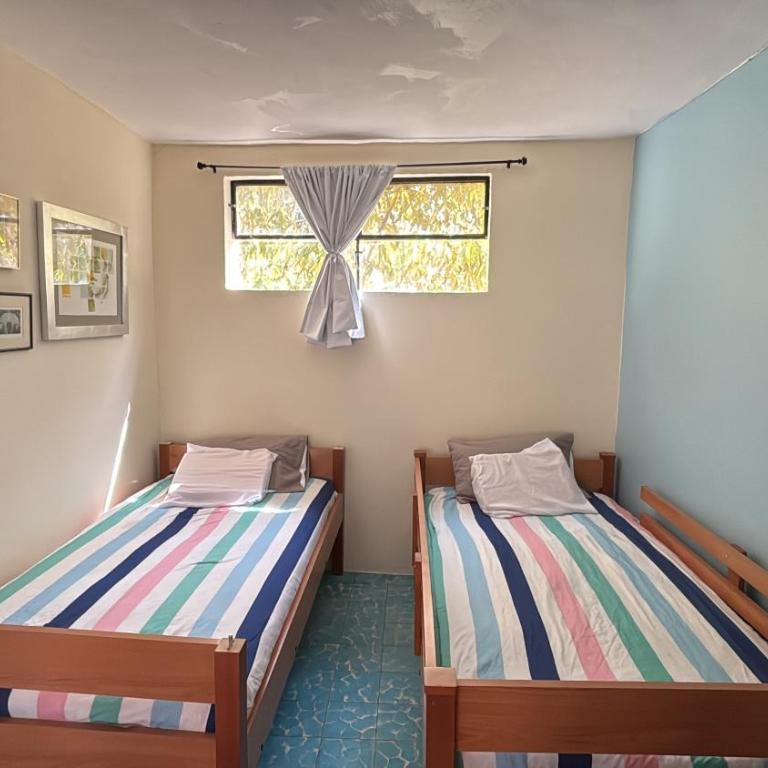 Suite Roof Top - One-Bedroom Apartment - 17
