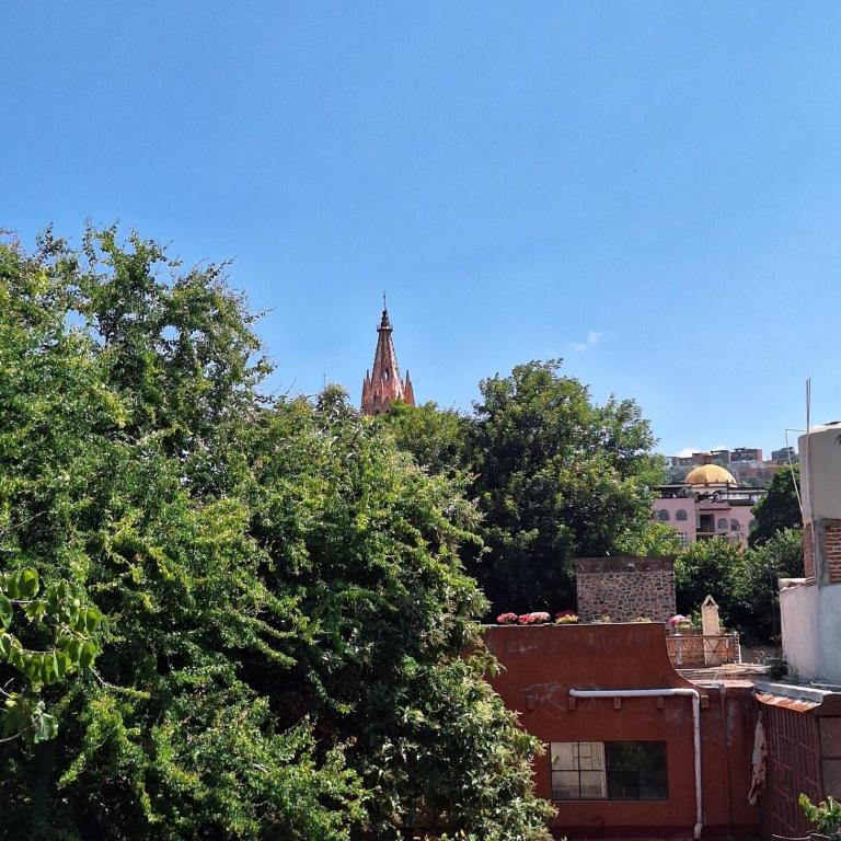 Suite Roof Top - One-Bedroom Apartment - 34