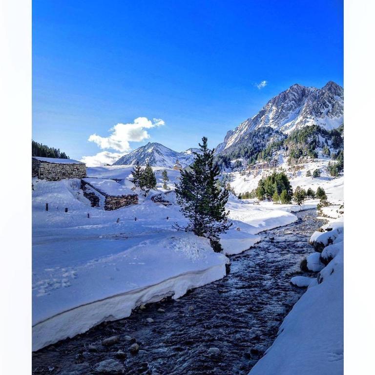 Up Benasque El Grito de Tarzan - Apartamento Ático - 8