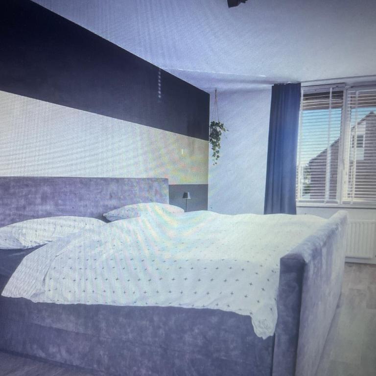 Serenity Residence - Apartment - 1