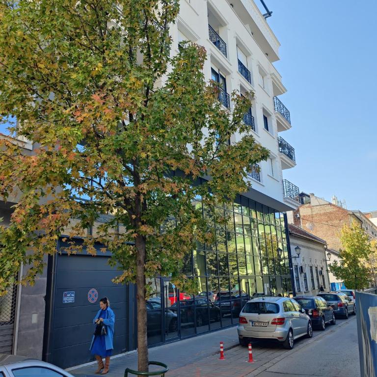 Apartment Andjela, city centre - Apartman sa 1 Spavaćom Sobom - 28