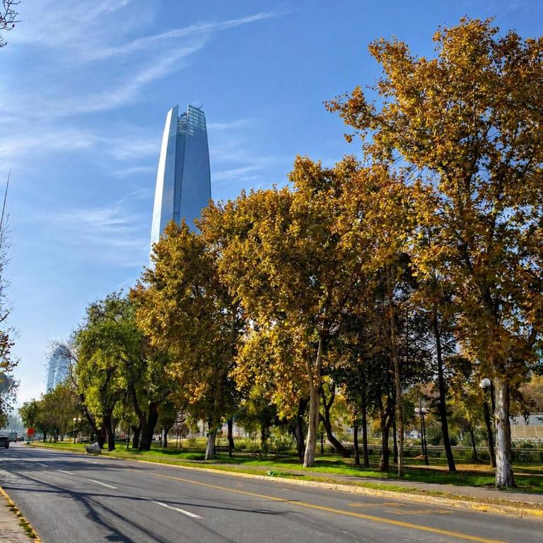 A pasos de Sky Costanera 10 pax parking - One-Bedroom Apartment - 50