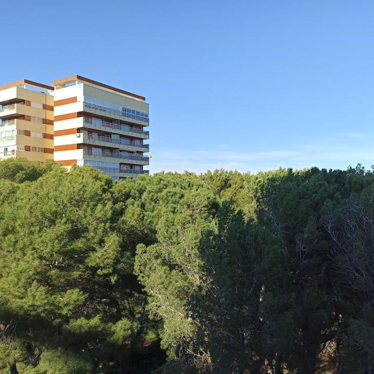 Saler Apartment - Appartamento con 3 Camere da Letto - 17