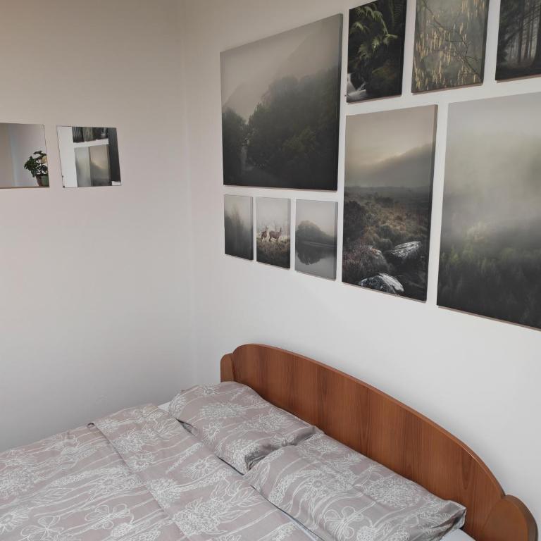 KM Apartment - Appartement 1 Chambre - 7