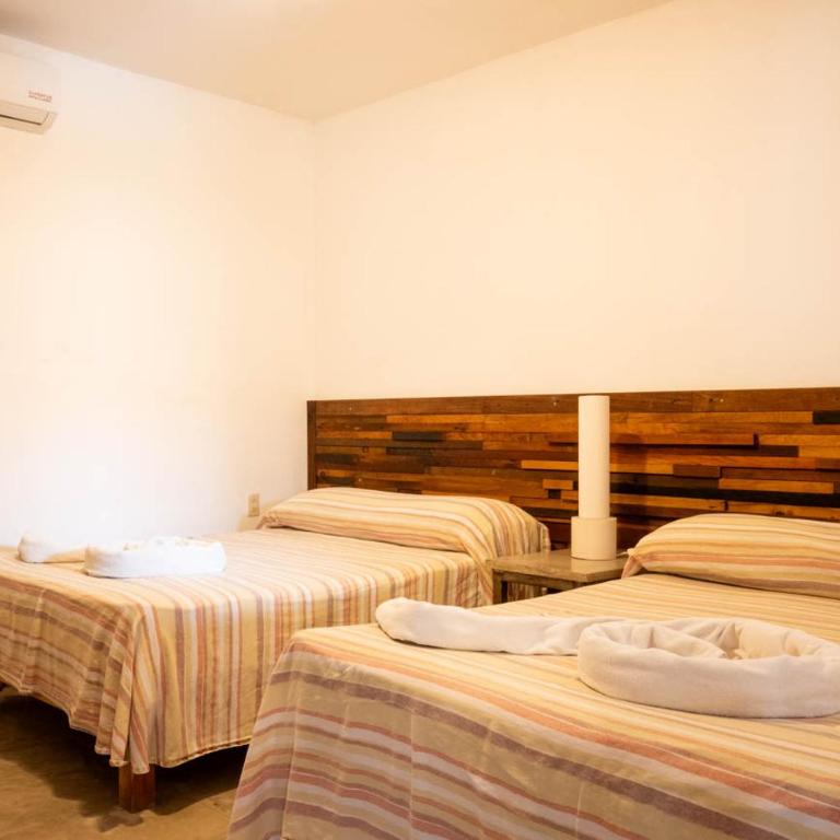 Casa de las Iguanas - Appartement - Vue sur Mer - 8