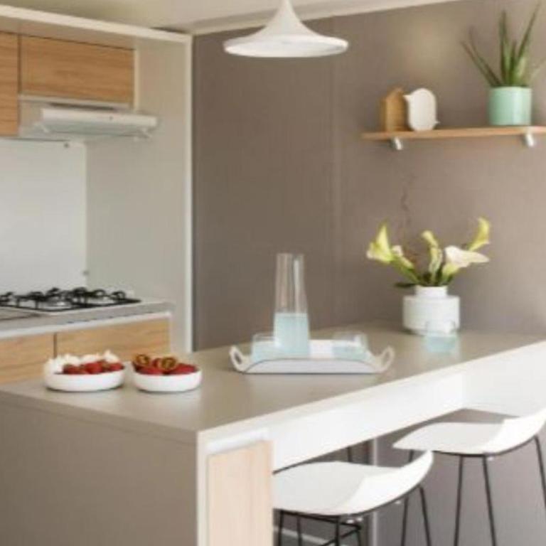 Mobil home paisible, animaux admis - 4 pers. - FR-1-1020-24 - Mobile Home - 3