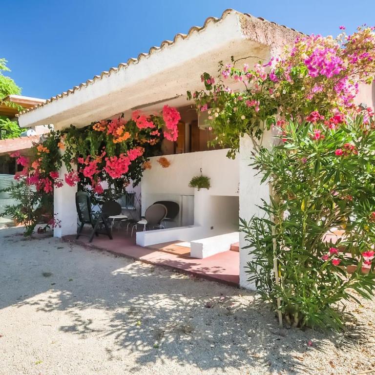 Alghero Guest House, Oasi tra gli Ulivi con Piscina e Fresche Suites in Seminterrato - Appartamento con 2 Camere da Letto - 4