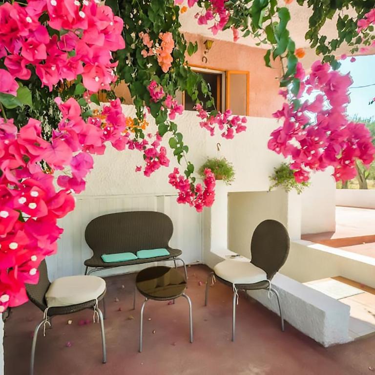 Alghero Guest House, Oasi tra gli Ulivi con Piscina e Fresche Suites in Seminterrato - Appartamento con 2 Camere da Letto - 9