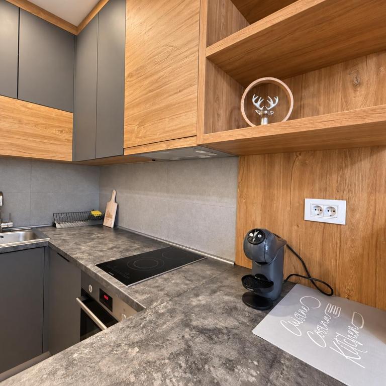 Luxury apartment in Hotel Zlatibor - One-Bedroom Apartment - 10