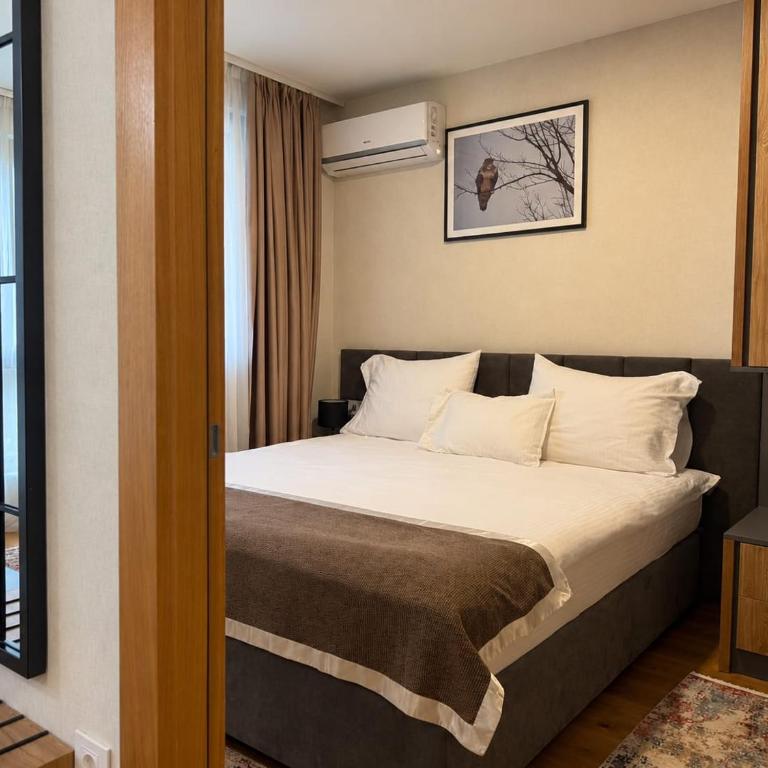 Luxury apartment in Hotel Zlatibor - One-Bedroom Apartment - 8
