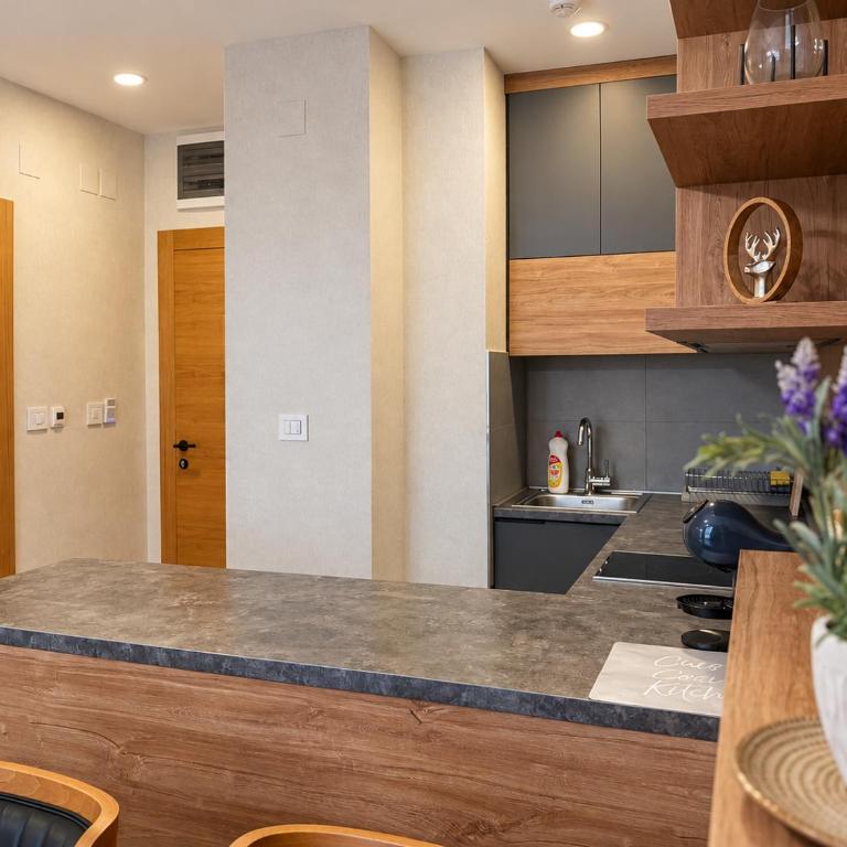 Luxury apartment in Hotel Zlatibor - One-Bedroom Apartment - 18