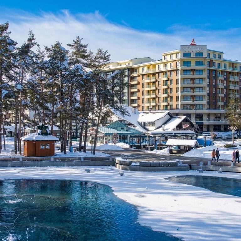 Luxury apartment in Hotel Zlatibor - One-Bedroom Apartment - 1