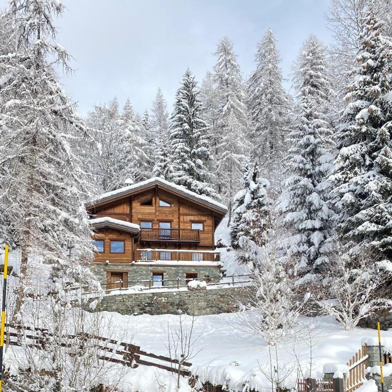 Chalet des Bois - Chalet - 1