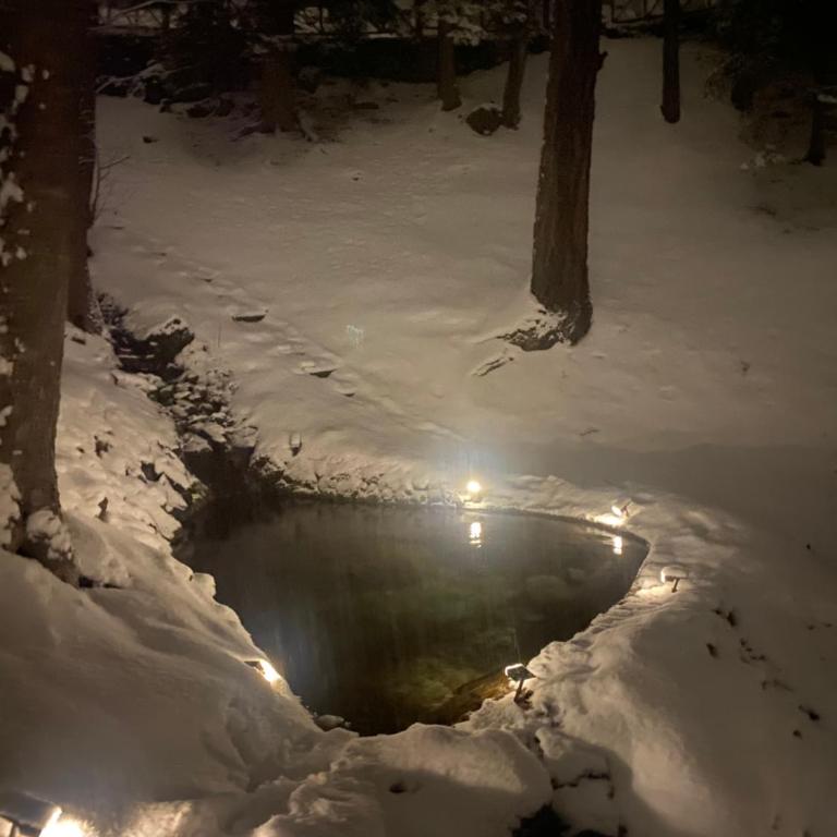Chalet des Bois - Chalet - 31