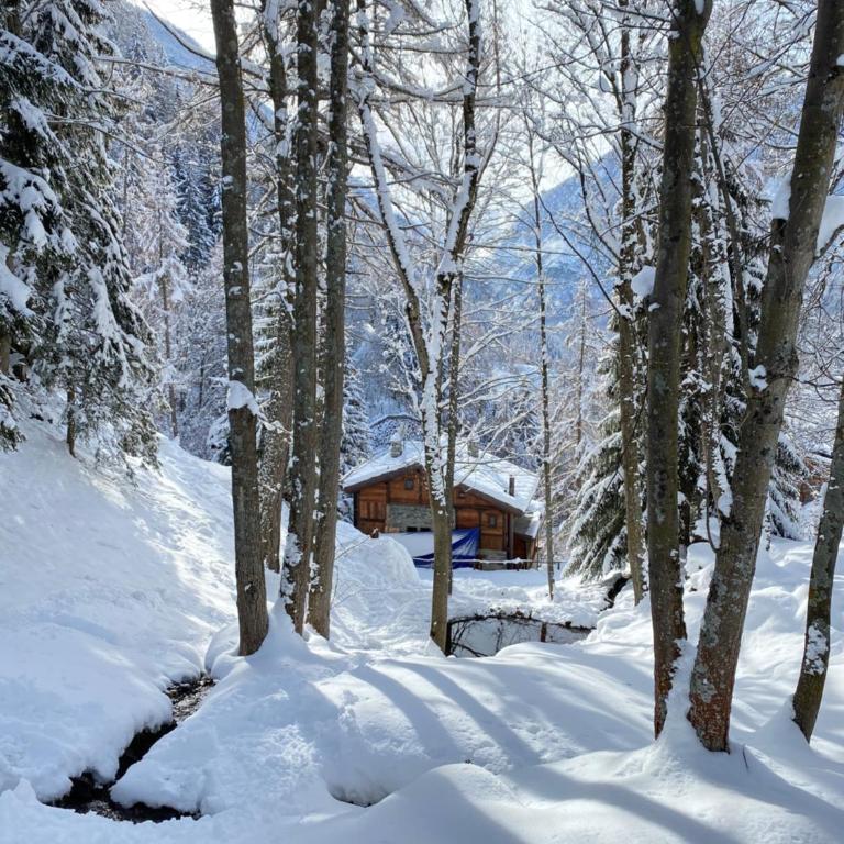 Chalet des Bois - Chalet - 4