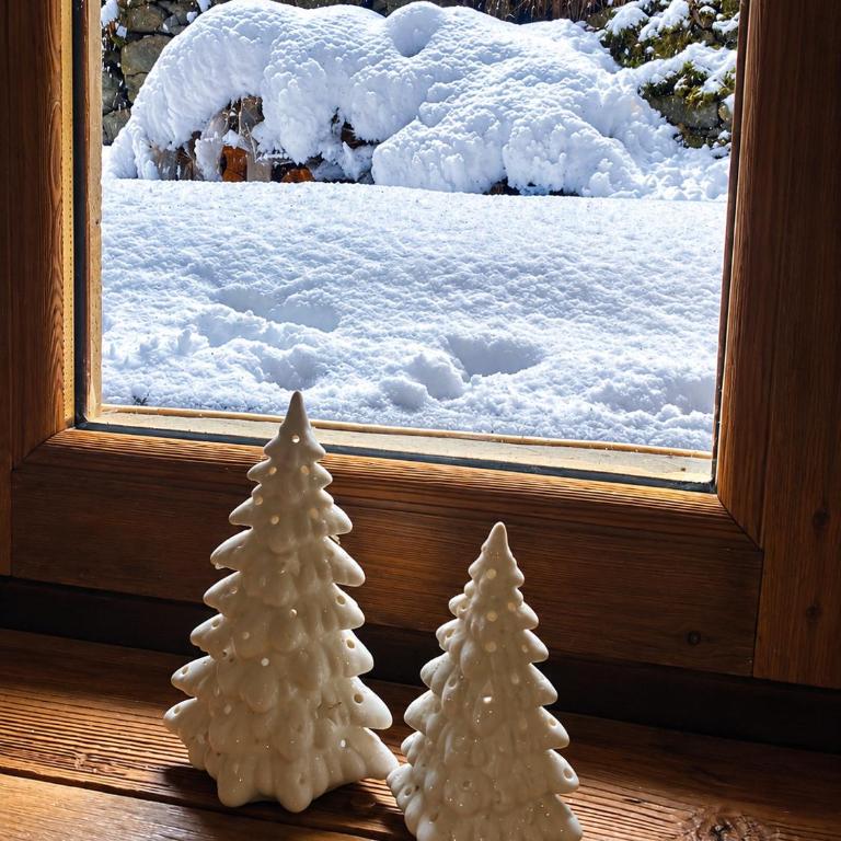 Chalet des Bois - Chalet - 39