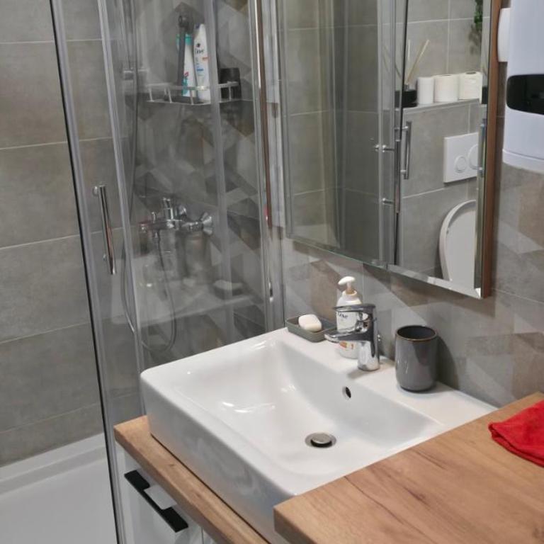 Latika Divcibare - Apartman sa 1 Spavaćom Sobom - 17