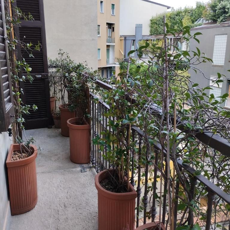 Claudia's apartment cozy 50 mq - Appartement 1 Chambre - 3