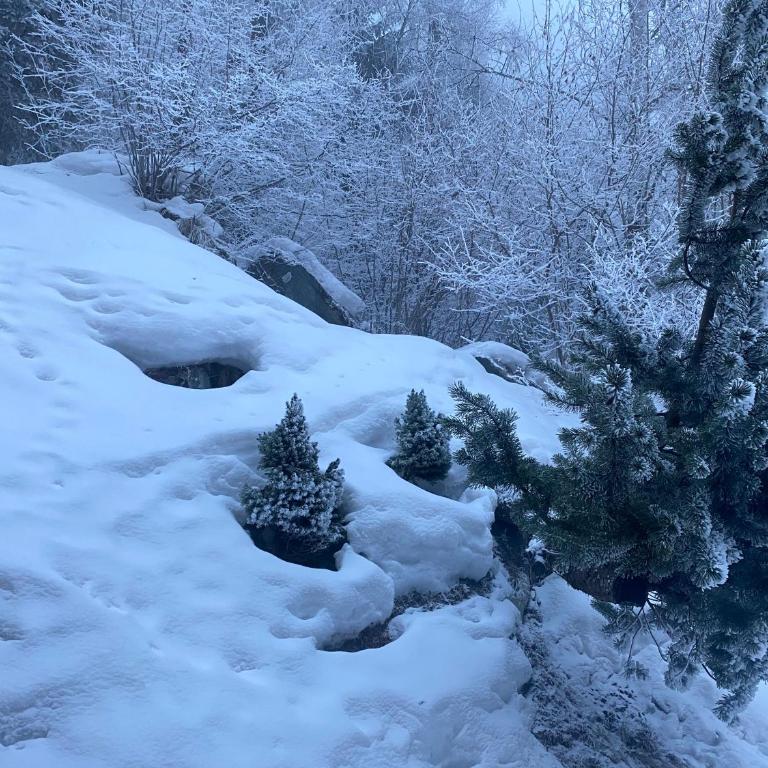 Chalet des Bois - Chalet - 49