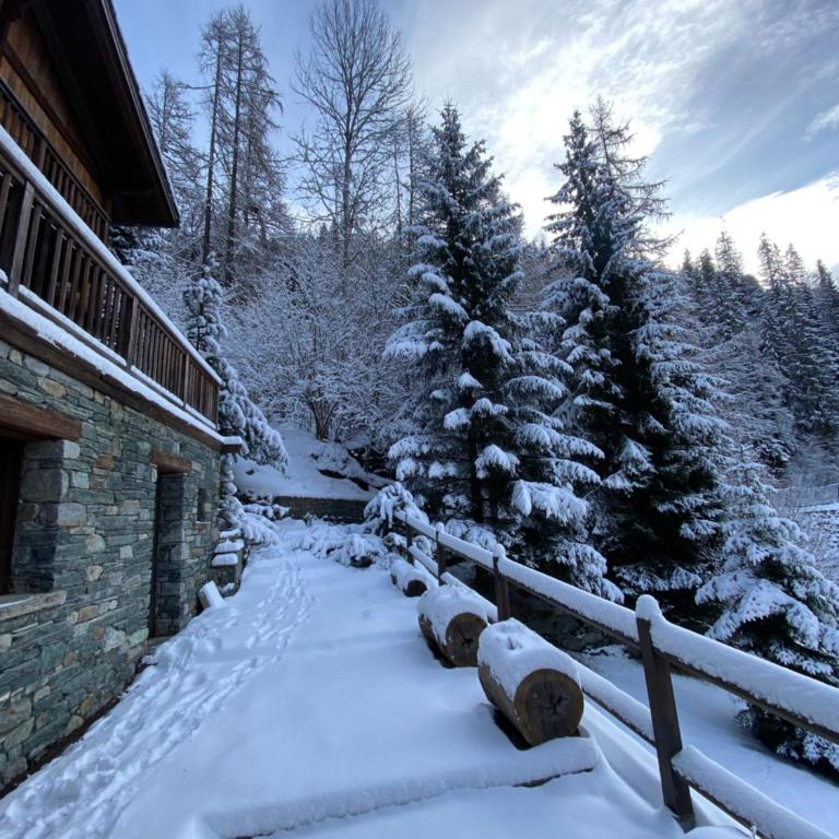 Chalet des Bois - Chalet - 50