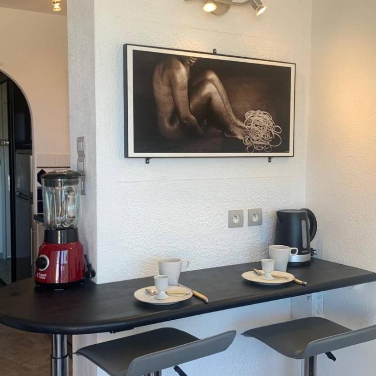 Grand appartement SHIBARI Héliopolis E VILLAGE NATURISTE - Studio avec Vue sur le Port - 4