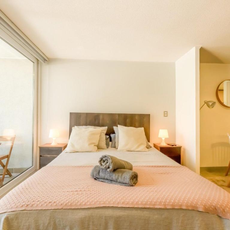 Studio con balcón · Club Hípico y Santander Arena - Apartamento de 1 dormitorio - 8