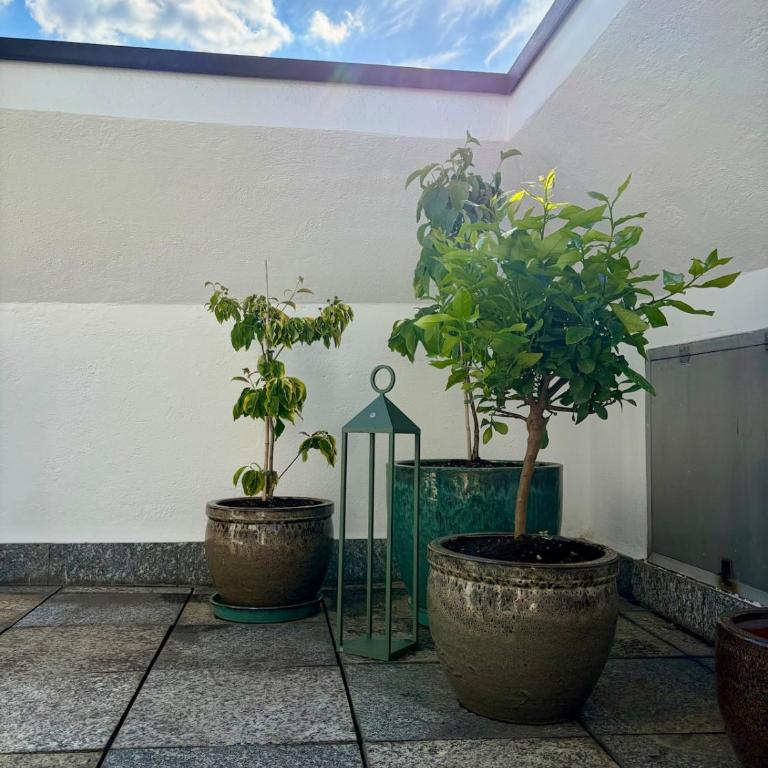 Tiger House with city view - near the Metro - Appartement 1 Chambre - 16