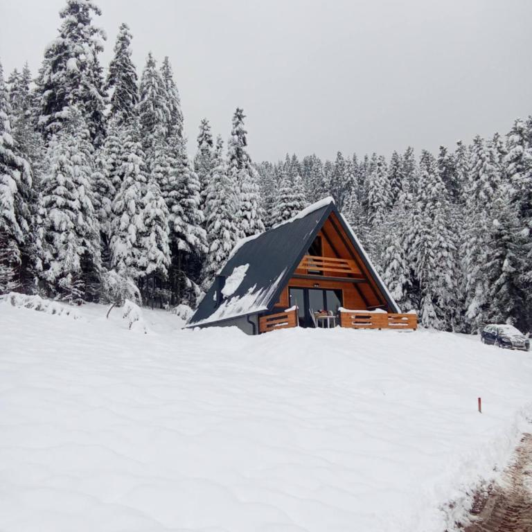 Vikendica pavlovic - Haus mit 1 Schlafzimmer - 4