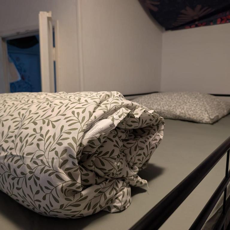 bambou house x Jardin calme centre-ville - Mixed Dormitory Room - 2