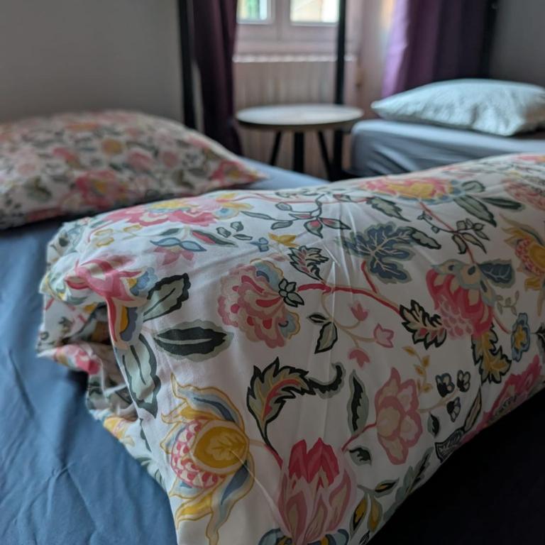 bambou house x Jardin calme centre-ville - Mixed Dormitory Room - 2