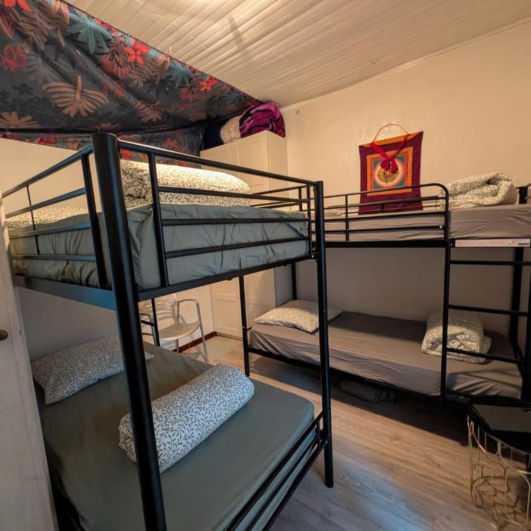 bambou house x Jardin calme centre-ville - Mixed Dormitory Room - 4