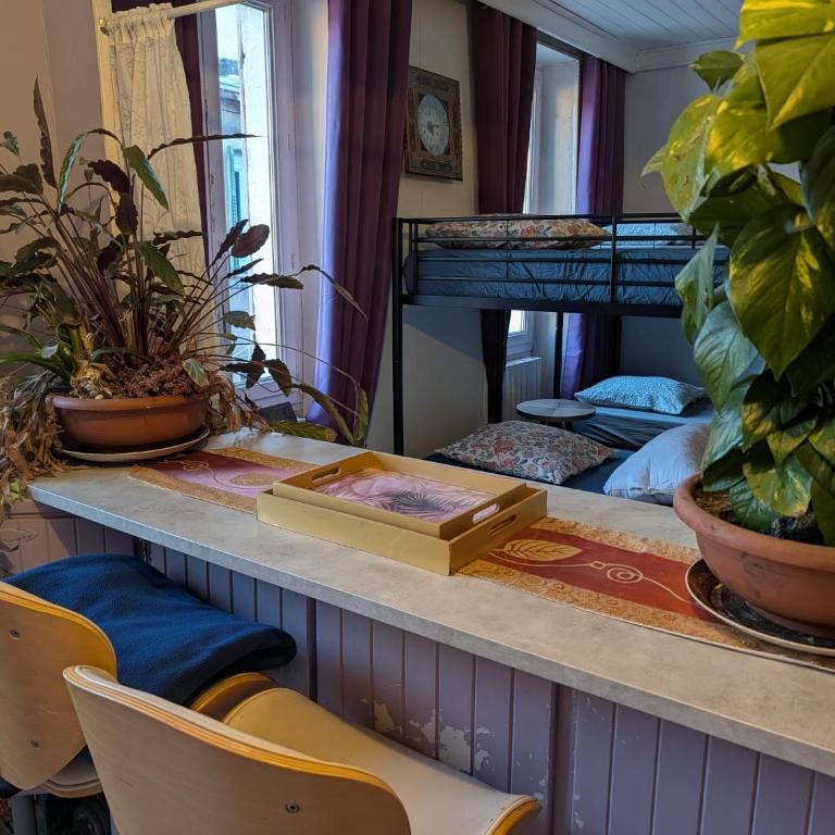 bambou house x Jardin calme centre-ville - Mixed Dormitory Room - 6