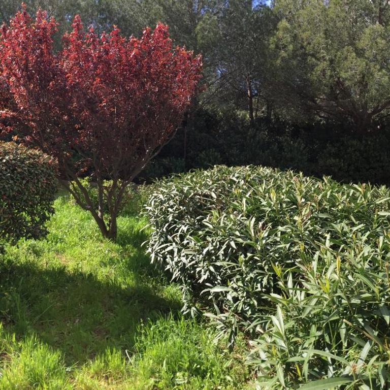 Entre mer et mer - Appartement - Vue sur Jardin - 18