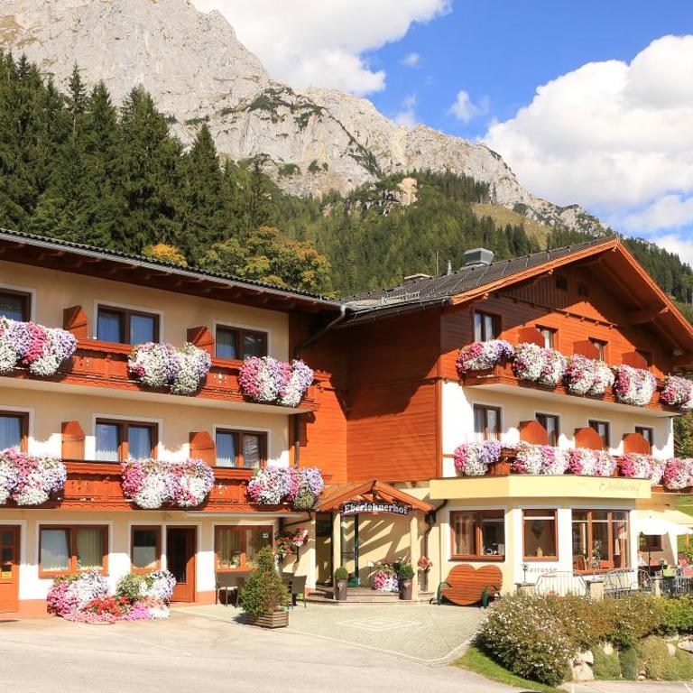 Aparthotel Ramsau - Apartment - 18