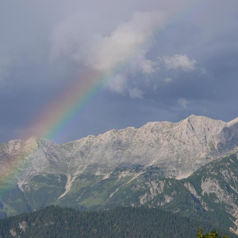 Stadlbauergütl - Appartement avec Vue sur la Montagne - 33