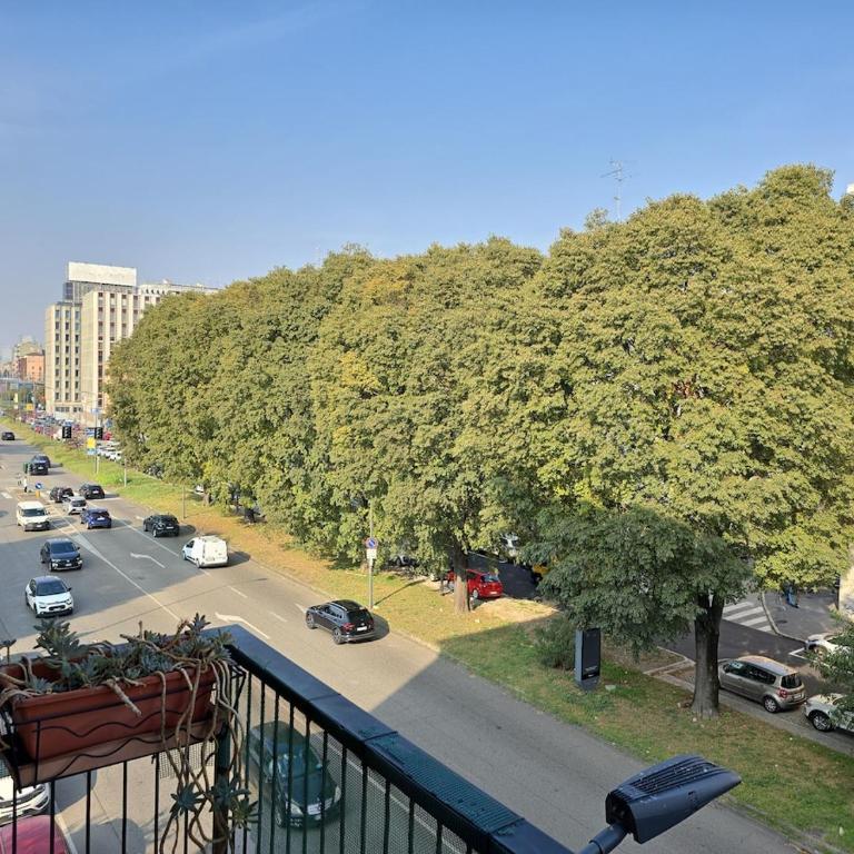Large apartment in Lambrate M2 FS Max 11 guests - Appartement 3 Chambres - 8