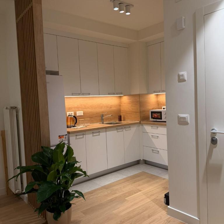 Hana Residence BW with private garage - Appartement 2 Chambres avec Balcon - 4