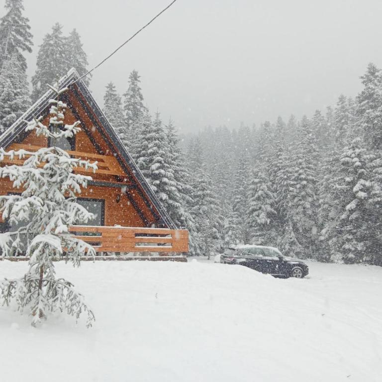 Vikendica Pavlovic - Chalet mit 1 Schlafzimmer - 5