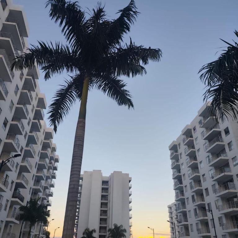 A special space to enjoy and disconnect - Three-Bedroom Apartment - 35