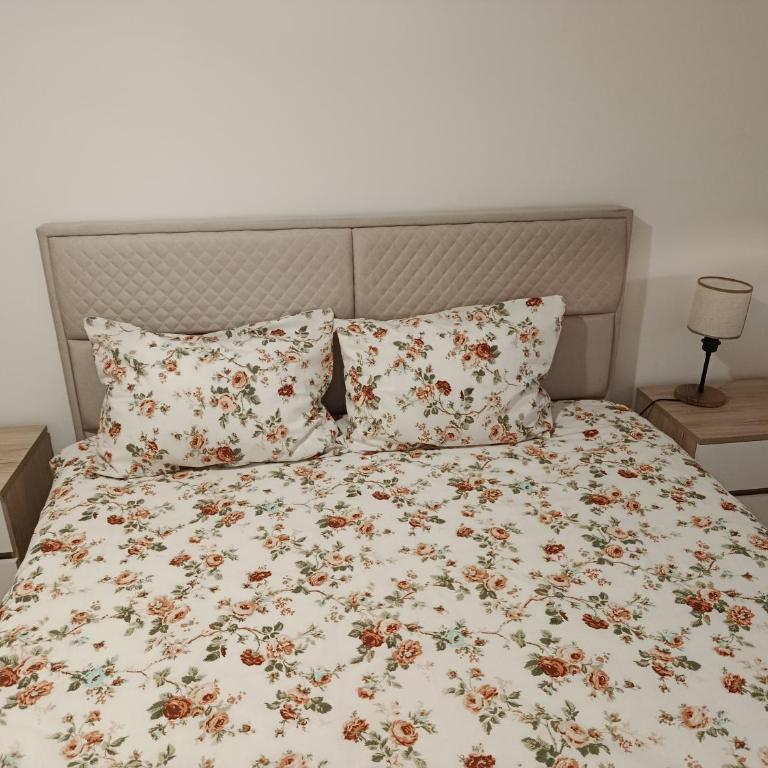 Dolce Vita Apartment - One-Bedroom Apartment - 48